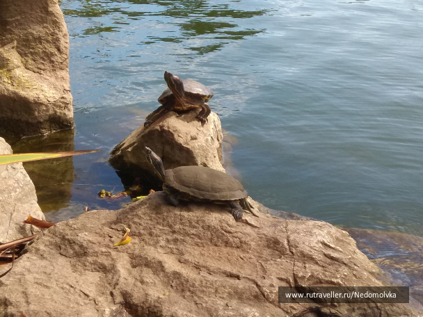 photo 1613689