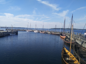 photo 1378884