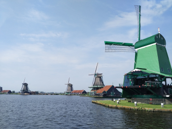 photo 1417513