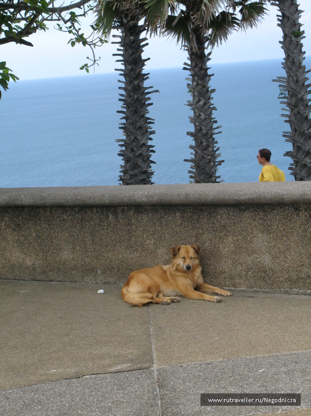 photo 1077760
