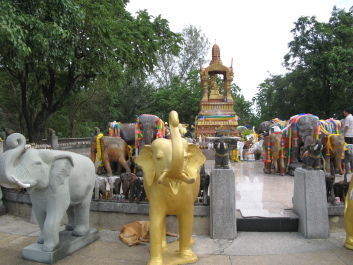 photo 1077766