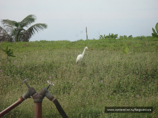 photo 1077769