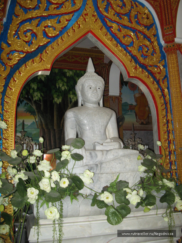photo 494535