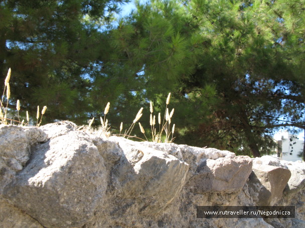 photo 1077732