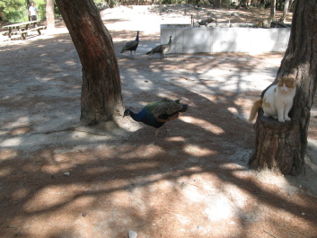 photo 1086752