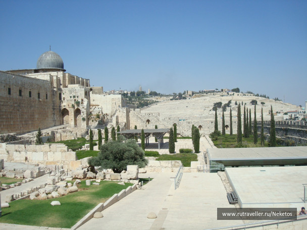 photo 264283