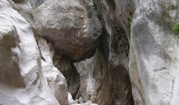 DSC00615