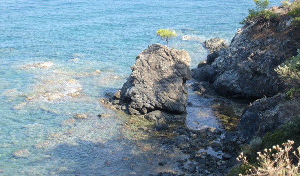 DSC00546