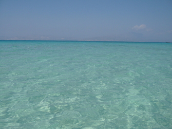 photo 1274798