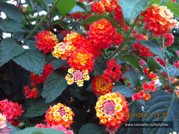 photo 768469