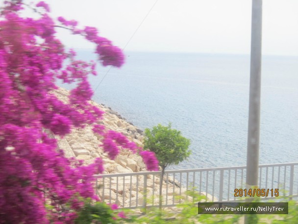 photo 768481
