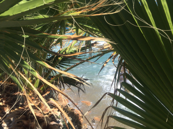 photo 1546524