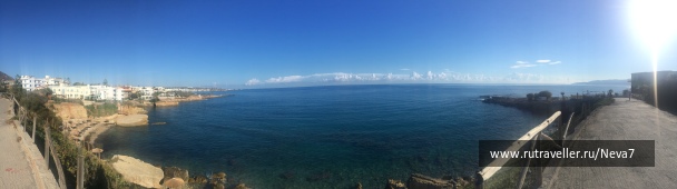 photo 1546526