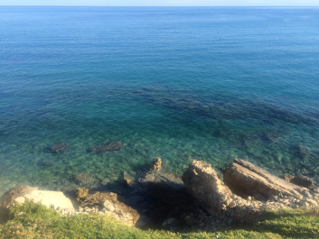 photo 1546527