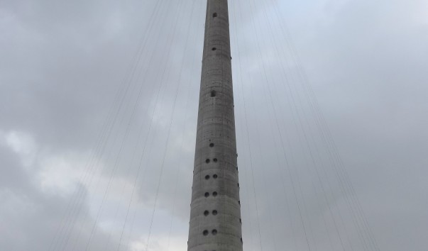 535e369599e02.jpg