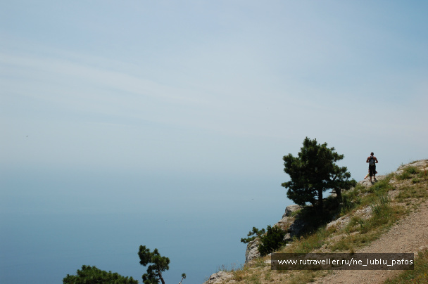 photo 137342