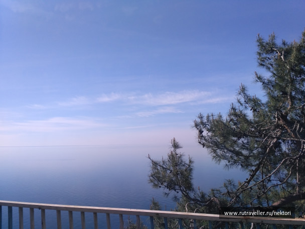 photo 1463631