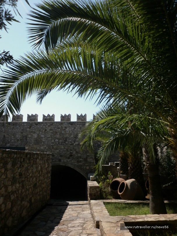 photo 428842
