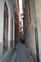 photo 1210054