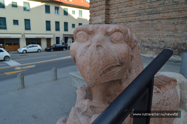 photo 1405742