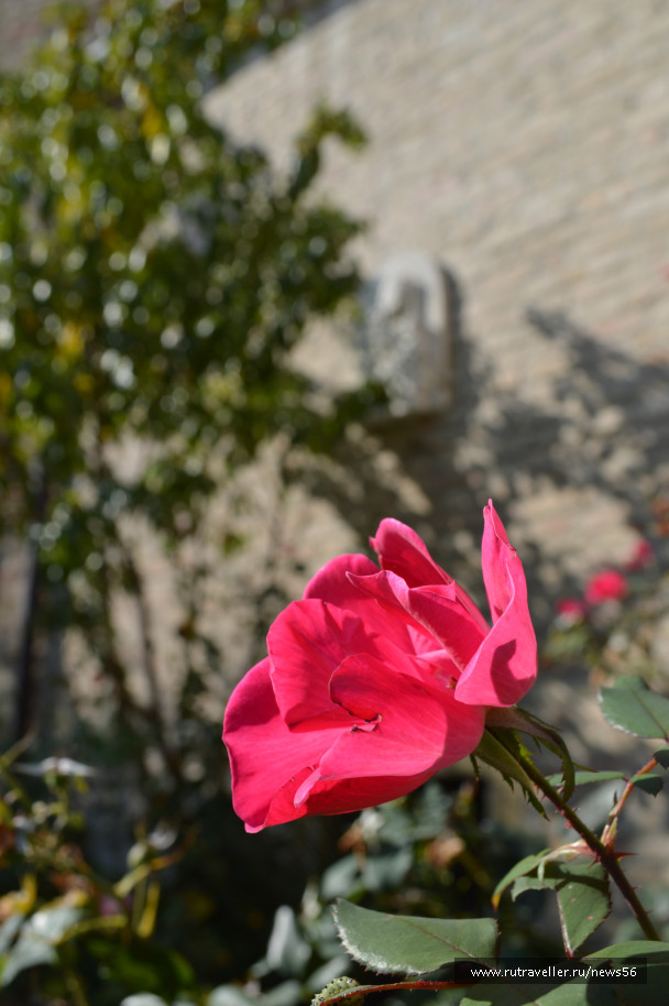 photo 1405745