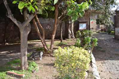 photo 1410786