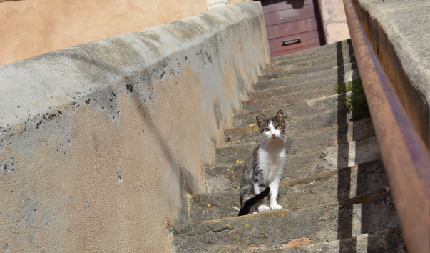 Italy 170