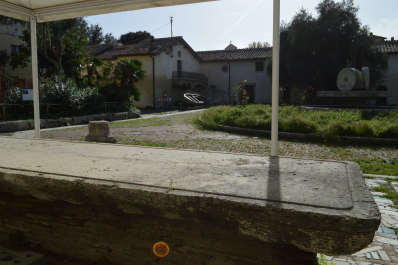 photo 1410795