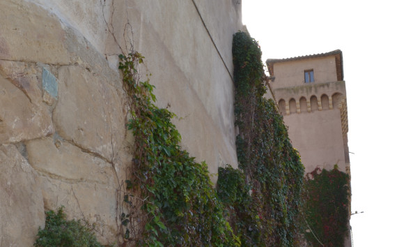 Italy 104