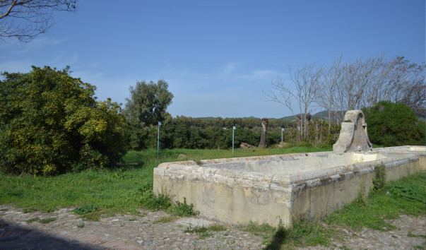 Italy 100