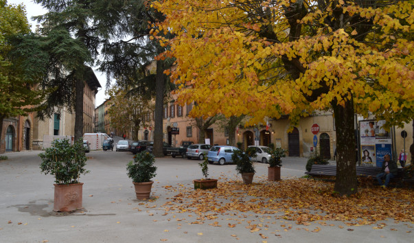 Volterra 136