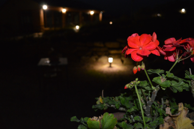 photo 1411467