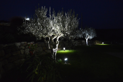 photo 1411474