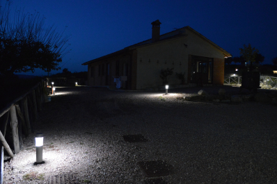photo 1411478
