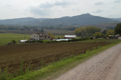 photo 1411495