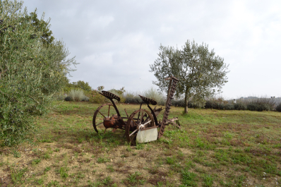 photo 1411512