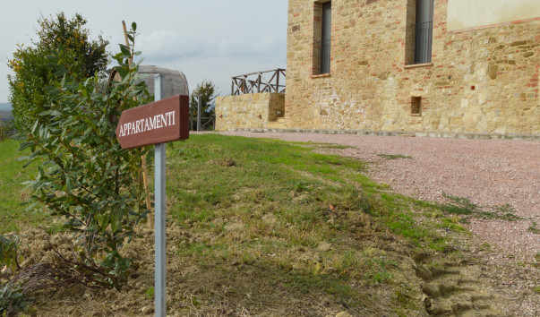 Morcella 035