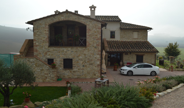 Morcella 020
