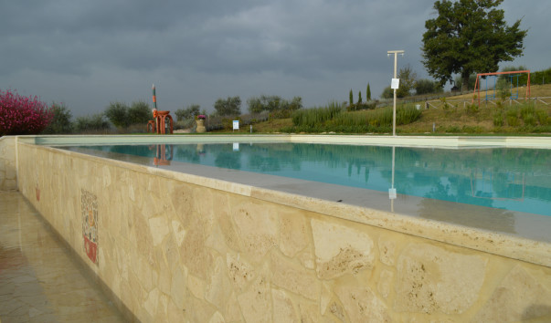Morcella 019