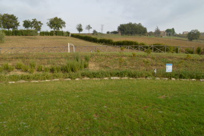 photo 1411531