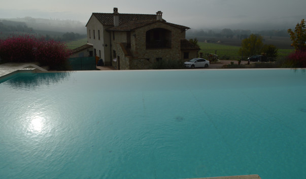 Morcella 013