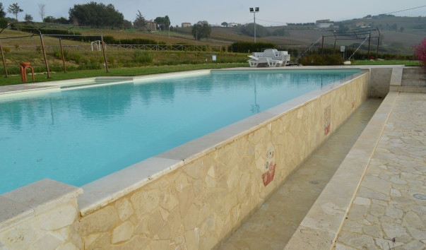 Morcella 012
