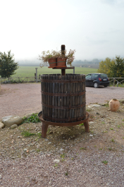 photo 1411536