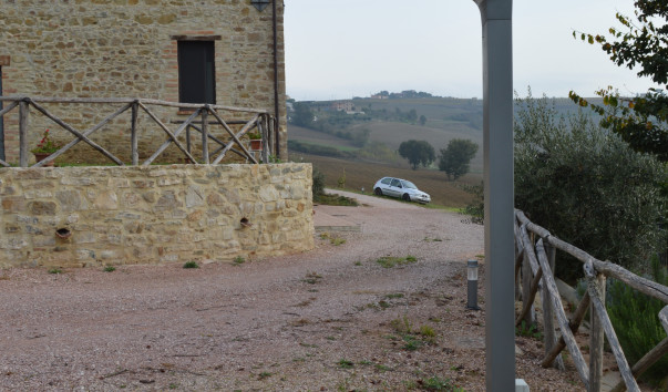 Morcella 007