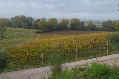 photo 1411539
