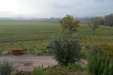 photo 1411540