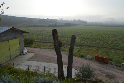 photo 1411541