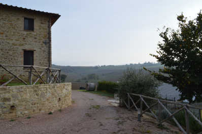 photo 1411542