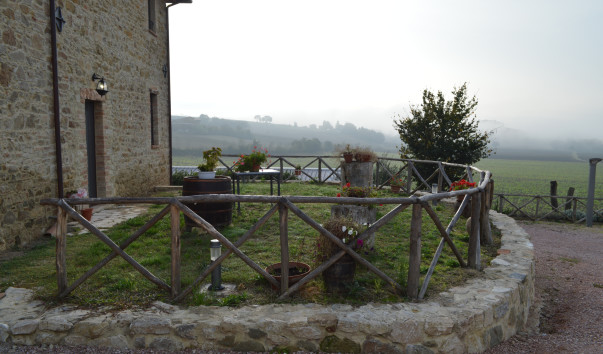 Morcella 001