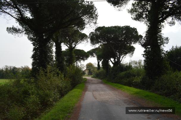 photo 1412738